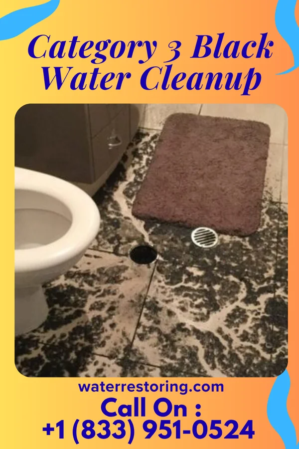 Category 3 Black Water Cleanup in Westphalia, MD