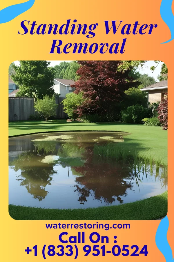 Standing Water Removal in Westphalia, MD